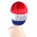 Flag-002~Holland